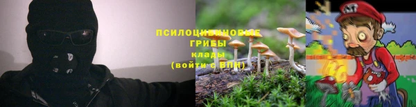 стаф Волосово