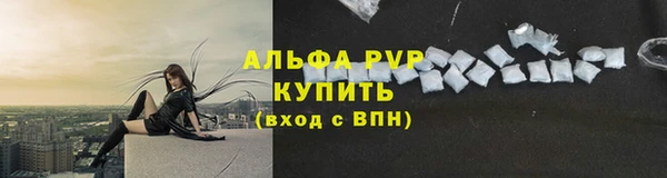 стаф Волосово