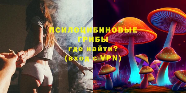 стаф Волосово