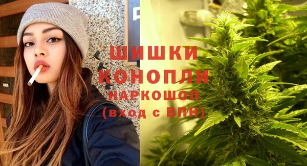 стаф Волосово