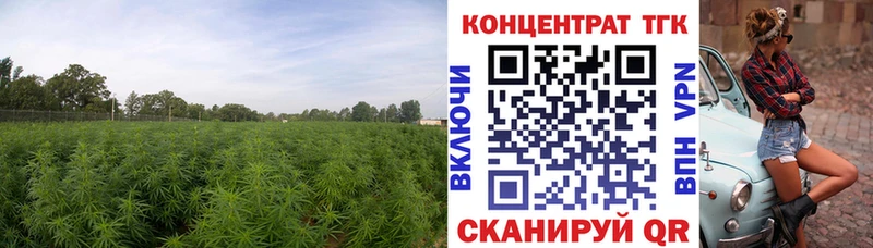 Купить закладки  Верхнеуральск  ТГК вейп 